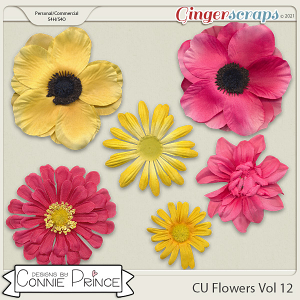Commercial Use Flowers Volume 12 by Connie Prince