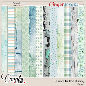 Believe In The Bunny-Papers