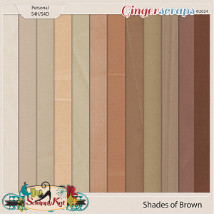 Shades of Brown by The Scrappy Kat