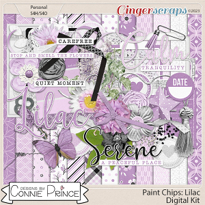 Paint Chips Lilac - Kit by Connie Prince