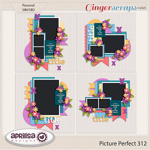 Picture Perfect 312 by Aprilisa Designs