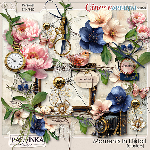 Moments In Detail Clusters by Palvinka Designs
