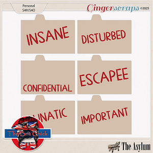 The Asylum File Cards By The Brit Chick