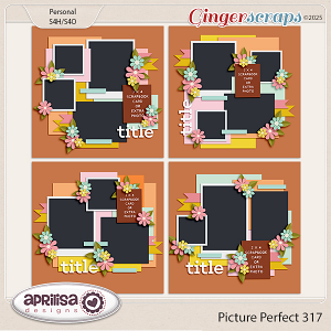 Picture Perfect 317 by Aprilisa Designs
