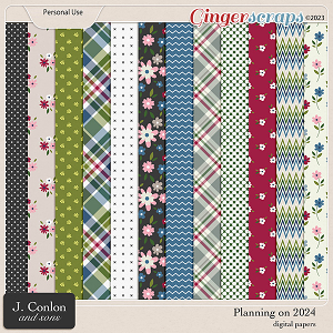 Planning on 2024 Patterned Papers by J. Conlon and Sons