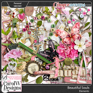 Beautiful Souls-Elements