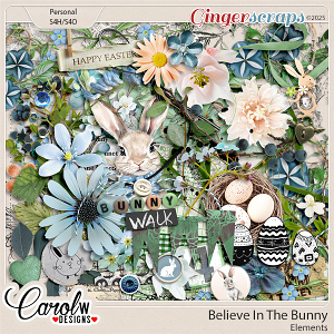 Believe In The Bunny-Elements