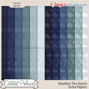 Weather The Storm - Extra Papers by Connie Prince