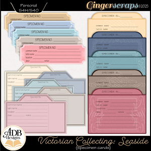 Victorian Collecting Seaside Specimen Cards by ADB Designs