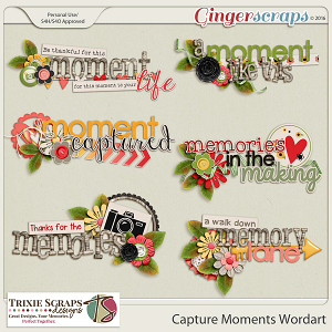 Capture Moments Wordart by Trixie Scraps Designs