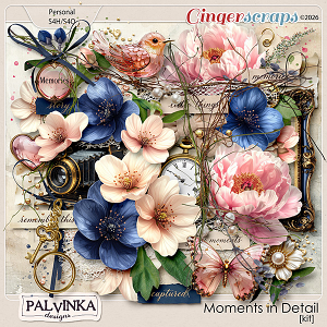 Moments In Detail Kit by Palvinka Designs