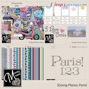Going Places: Paris by Memory Mosaic