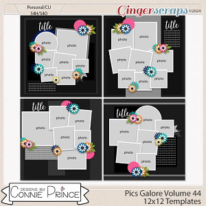 Pics Galore Volume 44 - 12x12 Temps (CU Ok) by Connie Prince