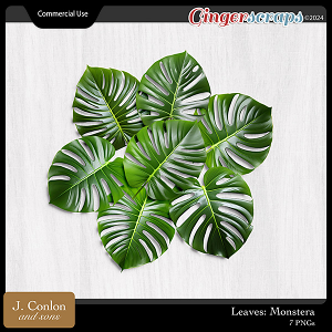 Monstera CU Embellishments by J. Conlon and Sons