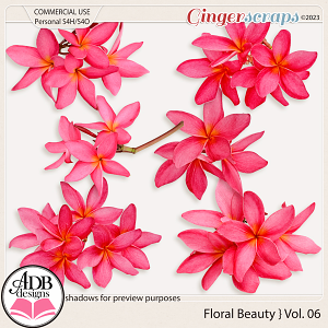 Floral Beauty Vol. 06 CU/PU by ADB Designs