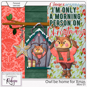 Owl be Home for Xmas by Scrapbookcrazy Creations