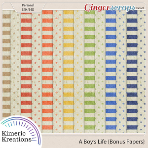 A Boys Life Bonus Papers by Kimeric Kreations  