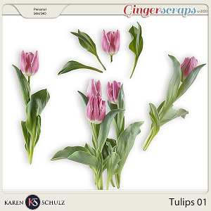 Tulips 01 by Karen Schulz