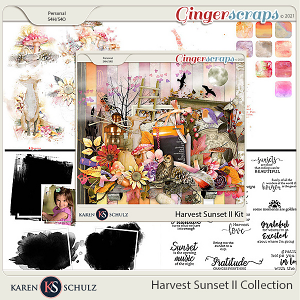 Harvest Sunset II Collection by Karen Schulz