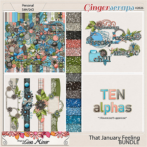 That January Feeling BUNDLE from Designs by Lisa Minor