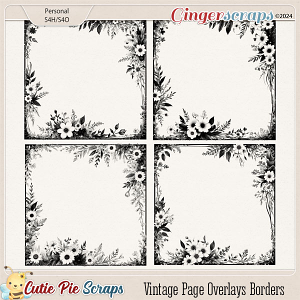 Vintage Page Overlays Borders 23