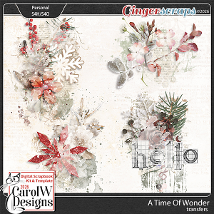 A Time Of Wonder-transfers