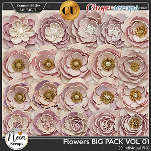 Flowers - BIG Pack VOL01 {CU} - by Neia Scraps Flowers - BIG Pack VOL01 {CU} - by Neia Scraps