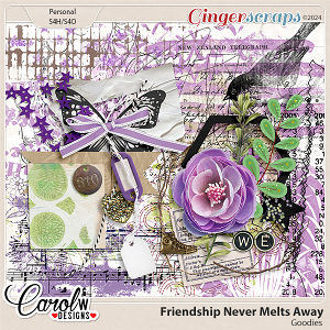 Friendship Never Melts Away-goodies
