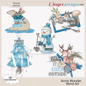Arctic Wonder Word Art- By Adrienne Skelton Design 