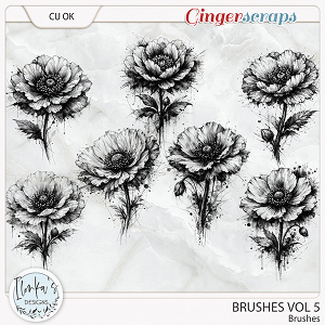 CU Brushes Vol 5 by Ilonka's Designs