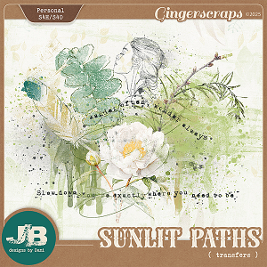 Sunlit Paths Transfers by JB Studio