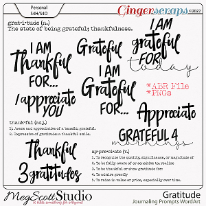 Journaling Prompts - Gratitude Word Art