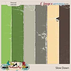 Slow Down Torn Papers by The Scrappy Kat