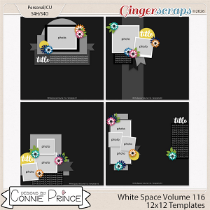 White Space Volume 116 - 12x12 Temps (CU Ok) by Connie Prince