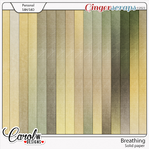 Breathing-Solid paper