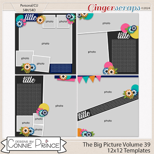 The Big Picture Volume 39  - 12x12 Temps (CU Ok) by Connie Prince