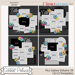 Pics Galore Volume 39 - 12x12 Temps (CU Ok) by Connie Prince