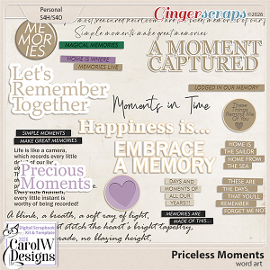 Priceless Moments Word art