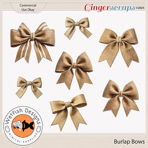 CU Burlap Bows by Wetfish Designs 