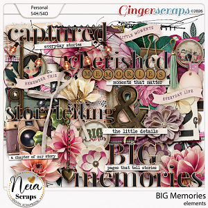 BIG Memories - Elements - by Neia Scraps