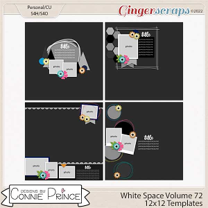 White Space Volume 72 - 12x12 Temps (CU Ok) by Connie Prince