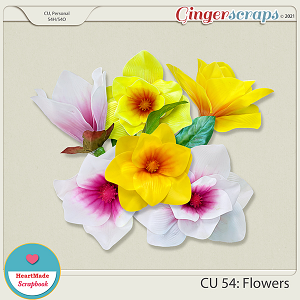 CU 54 - Flowers