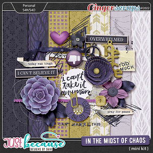 In The Midst Of Chaos Mini Kit by JB Studio