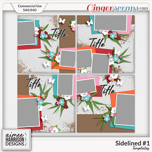 Sidelined #1 Templates by Aimee Harrison