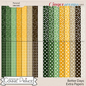 Better Days - Extra Papers by Connie Prince