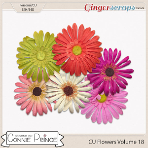 Commercial Use Flowers Volume 18 by Connie Prince