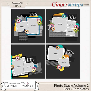 Photo Stack Volume 2- 12x12 Temps (CU Ok) by Connie Prince
