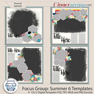 Focus Group Summer 6 Templates by Miss Fish 