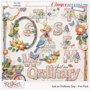 Just an Ordinary Day Fun Pack Just an Ordinary Day Fun Pack