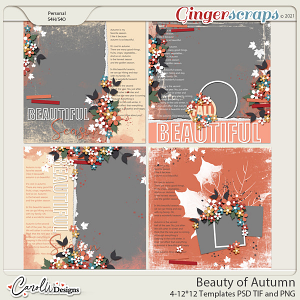 Beauty Of Autumn-Templates